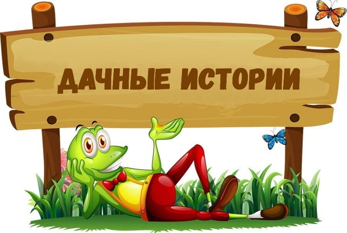 6587769_Dacha_i_dachniki (700x471, 215Kb)