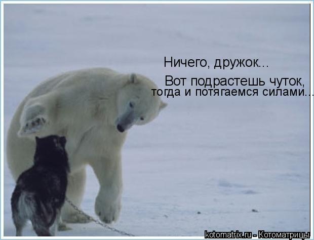 4743317_mq (620x474, 28Kb)