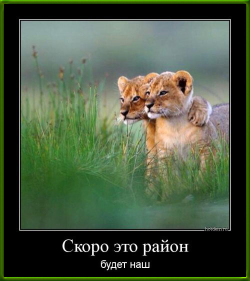 2-(25) (500x562, 149Kb)