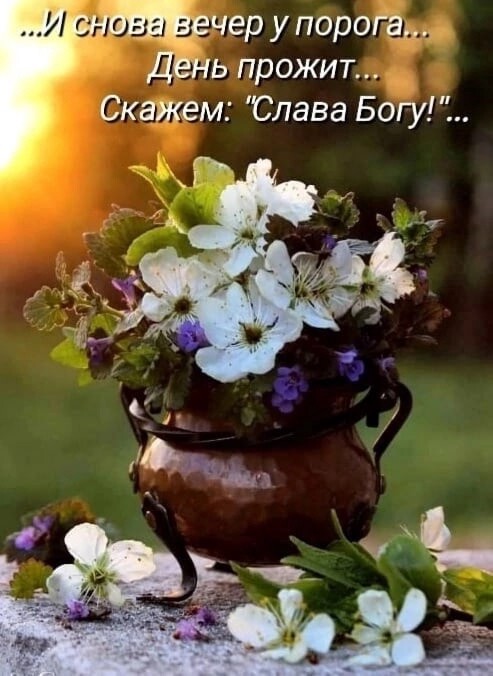 IMG_20220611_151627 (493x676, 74Kb)