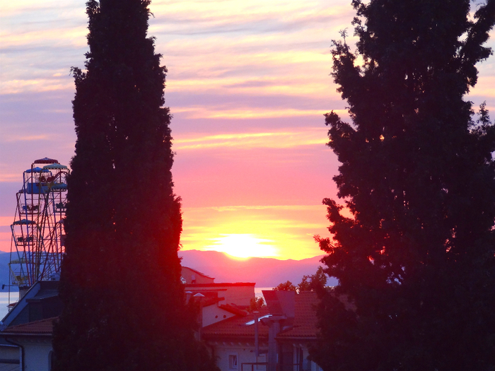 DSC06834 (700x525, 396Kb)