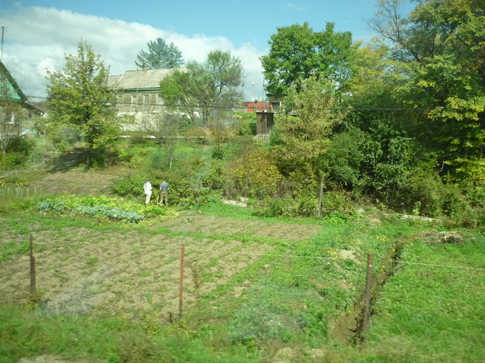 P1300967 (700x525, 519Kb)