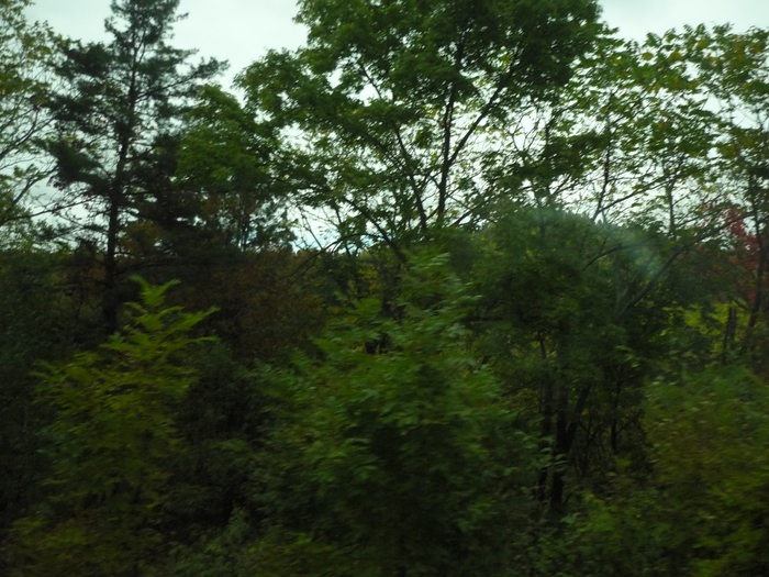 P1310048 (700x525, 427Kb)