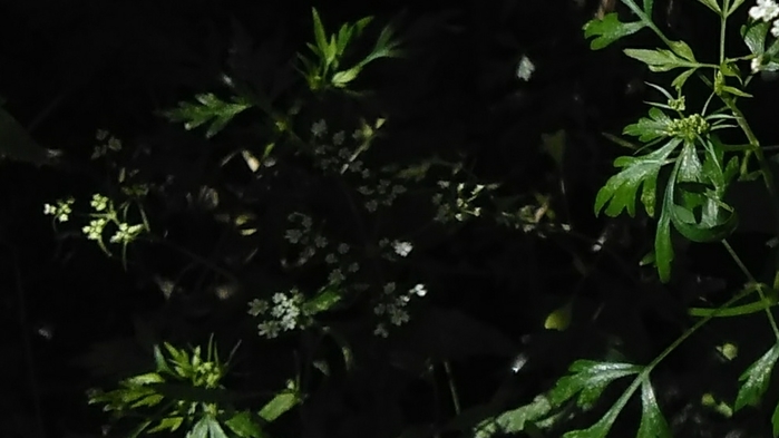 0004 (700x393, 138Kb)