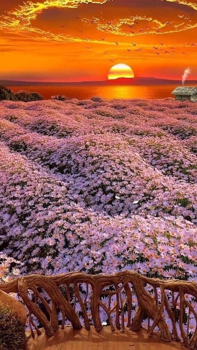 IMG_20220729_212213 (393x700, 123Kb)