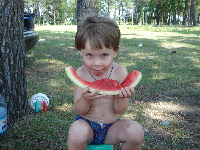 DSC02431 (700x525, 601Kb)