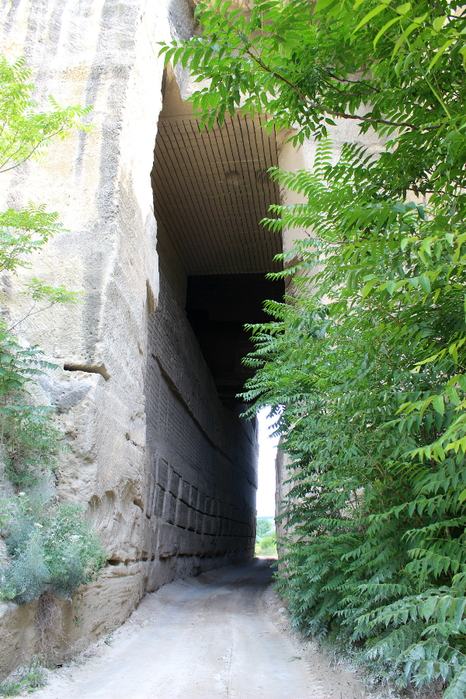 IMG_7813 (466x700, 595Kb)