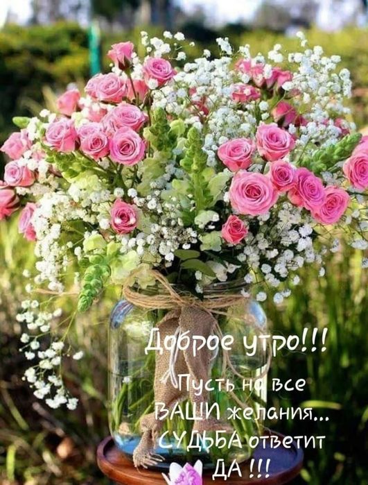 IMG-20220803-WA0003 (531x700, 102Kb)