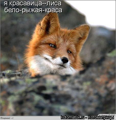 4743317_DE (454x469, 35Kb)
