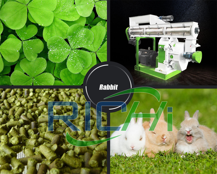 animal poultry chicken cattle aqua feed pellet machine (700x562, 512Kb)