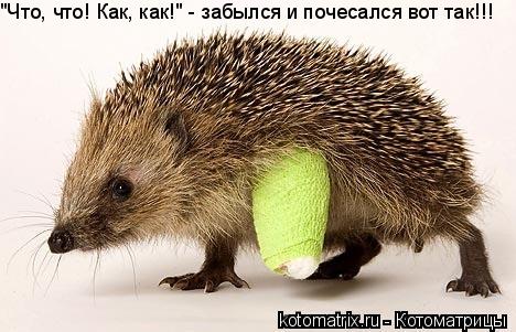 4743317_s (468x301, 39Kb)