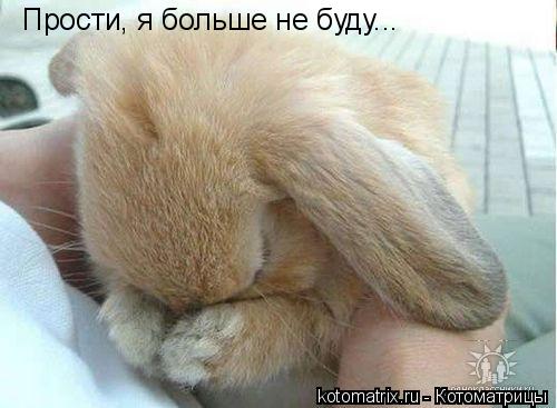 4743317_KK (500x367, 31Kb)
