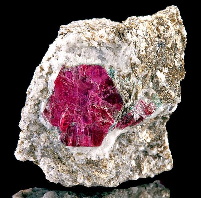 Gorgeous, deep red crystal of Corundum var. Ruby in Phlogopite Mica matrix! (644x633, 113Kb)