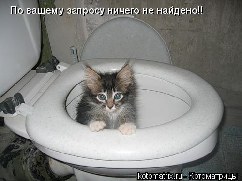 4743317_tL (500x375, 28Kb)