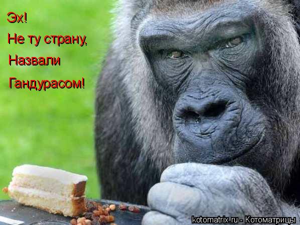 4743317_yc (598x450, 48Kb)