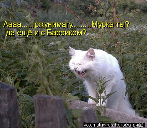 4743317_u (500x436, 48Kb)