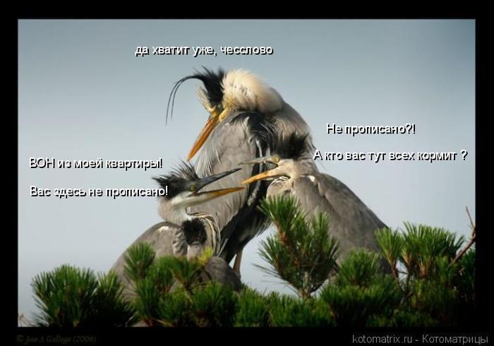 4743317_VG (700x490, 40Kb)