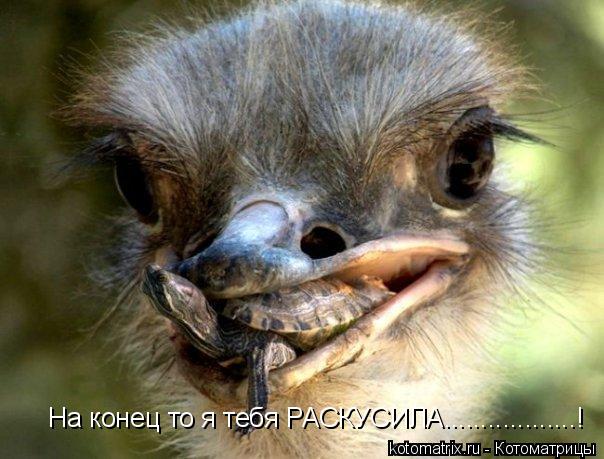 4743317_oB (604x459, 52Kb)