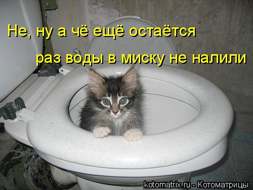 4743317_qJ (500x375, 33Kb)