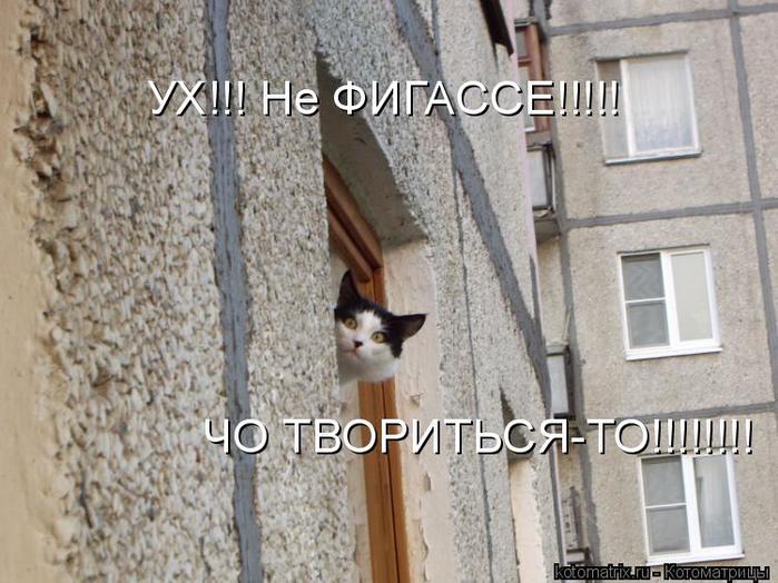 4743317_2 (700x524, 69Kb)
