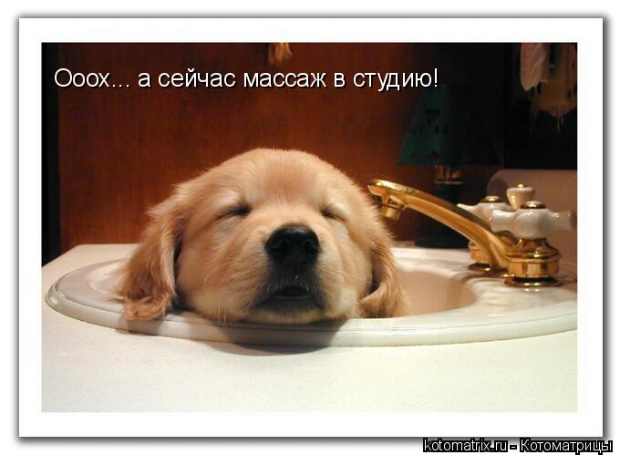 4743317_2G (680x499, 40Kb)