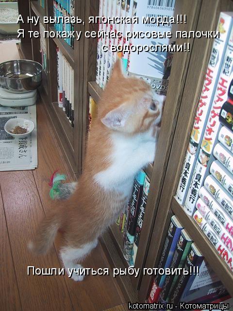 4743317_tW (480x640, 72Kb)
