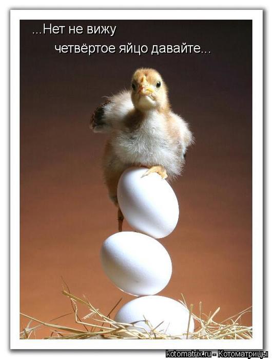 4743317_8Z (530x700, 38Kb)