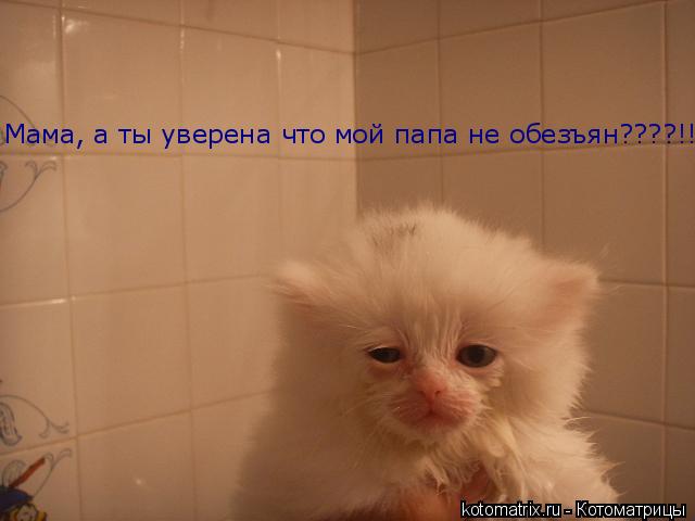 4743317_HR (640x480, 25Kb)