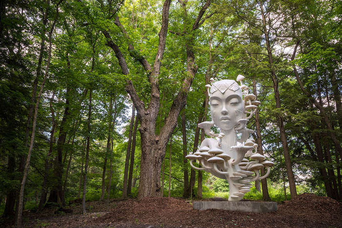 Daniel-Popper-Mycelia-HumanNature-The-Morton-Arboretum-2 (700x466, 548Kb)
