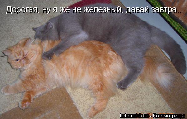 4743317_Ee (600x382, 38Kb)