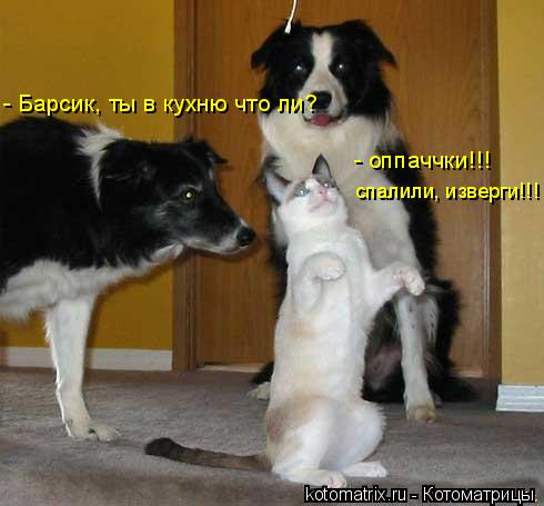 4743317_or (490x455, 30Kb)