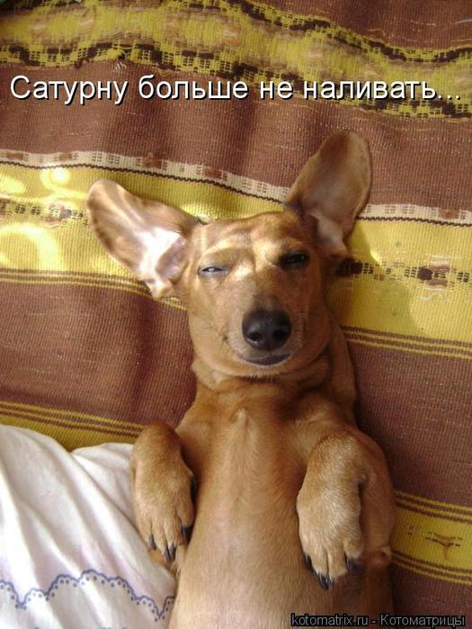 4743317_oY (525x700, 66Kb)