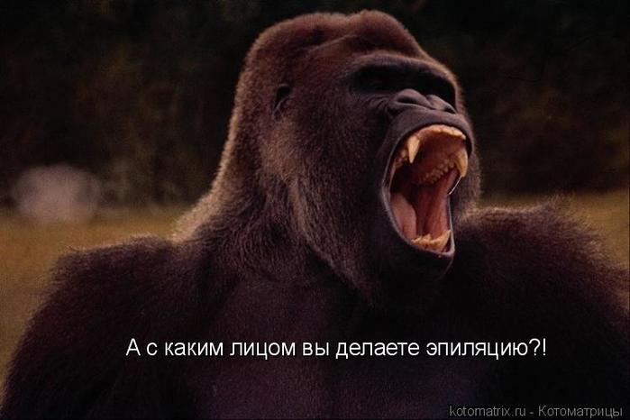 4743317_gJ (700x466, 34Kb)