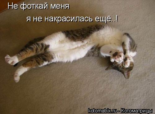 4743317_N (500x368, 30Kb)