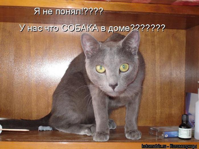 4743317_lB (700x524, 58Kb)