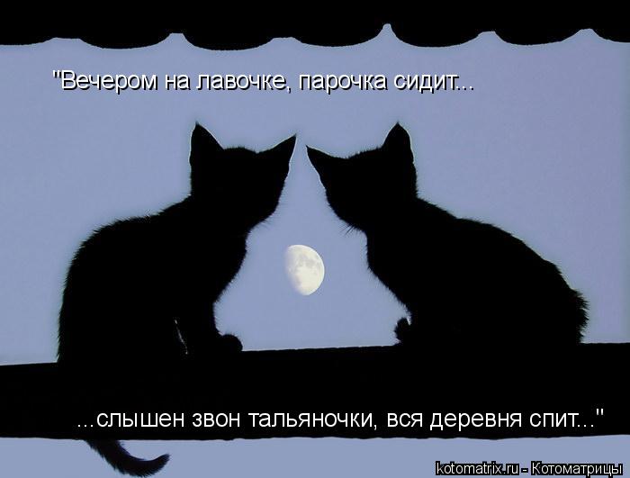 4743317_Dk (700x531, 31Kb)