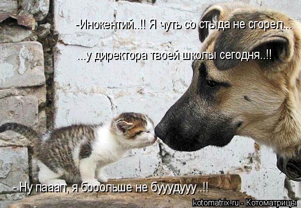 4743317_2z (599x413, 62Kb)