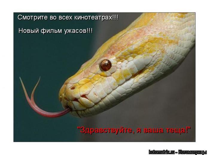 4743317_BD (700x519, 37Kb)