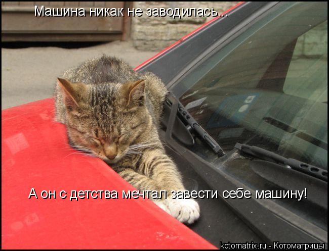 4743317_an (650x497, 55Kb)