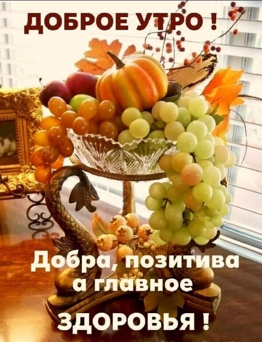 4743317_image20211030_09_32_11 (537x700, 276Kb)