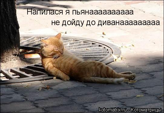 4743317_TR (542x374, 39Kb)