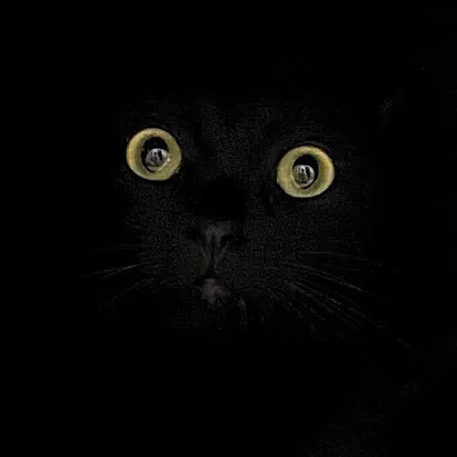 4743317_i_2_ (411x411, 13Kb)