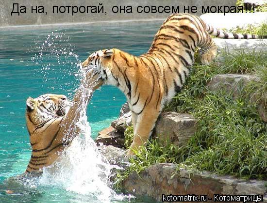 4743317_rG (550x419, 63Kb)