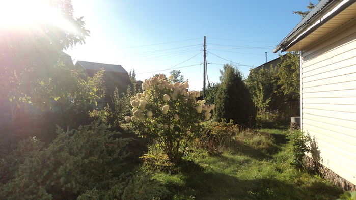  9  2022  (700x393, 178Kb)