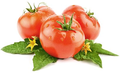 tomato (409x250, 18Kb)