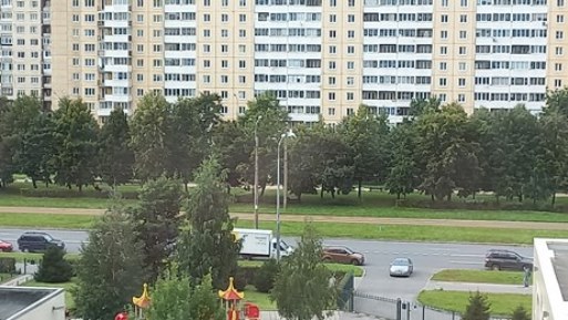 20220909_130739 (513x289, 65Kb)