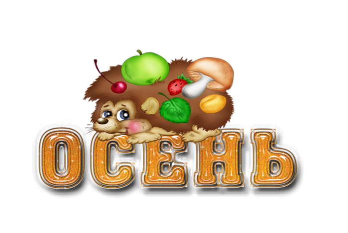 0_8dc7a_7f17d68c_xl (700x469, 255Kb)