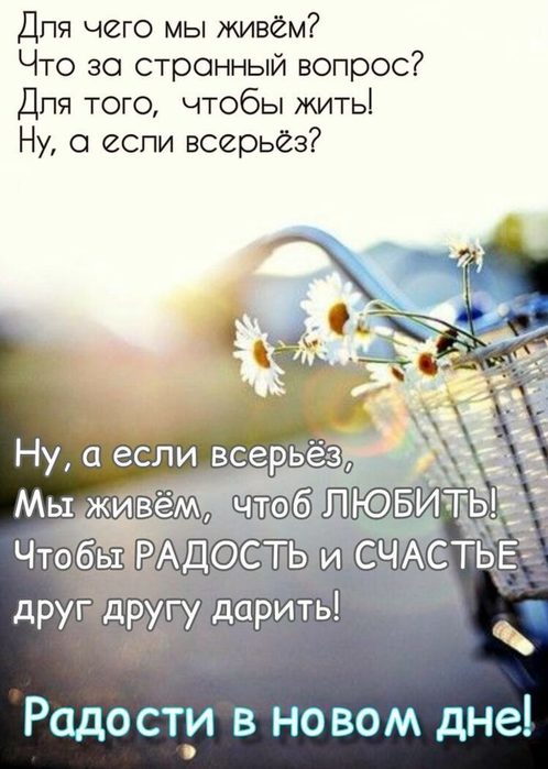 IMG_20220910_172307 (498x700, 61Kb)