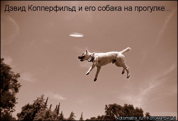 4743317_KV (625x425, 29Kb)