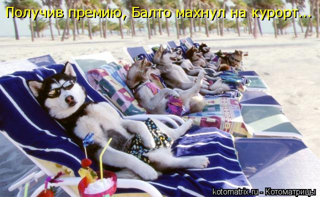 4743317_Pq (640x394, 55Kb)